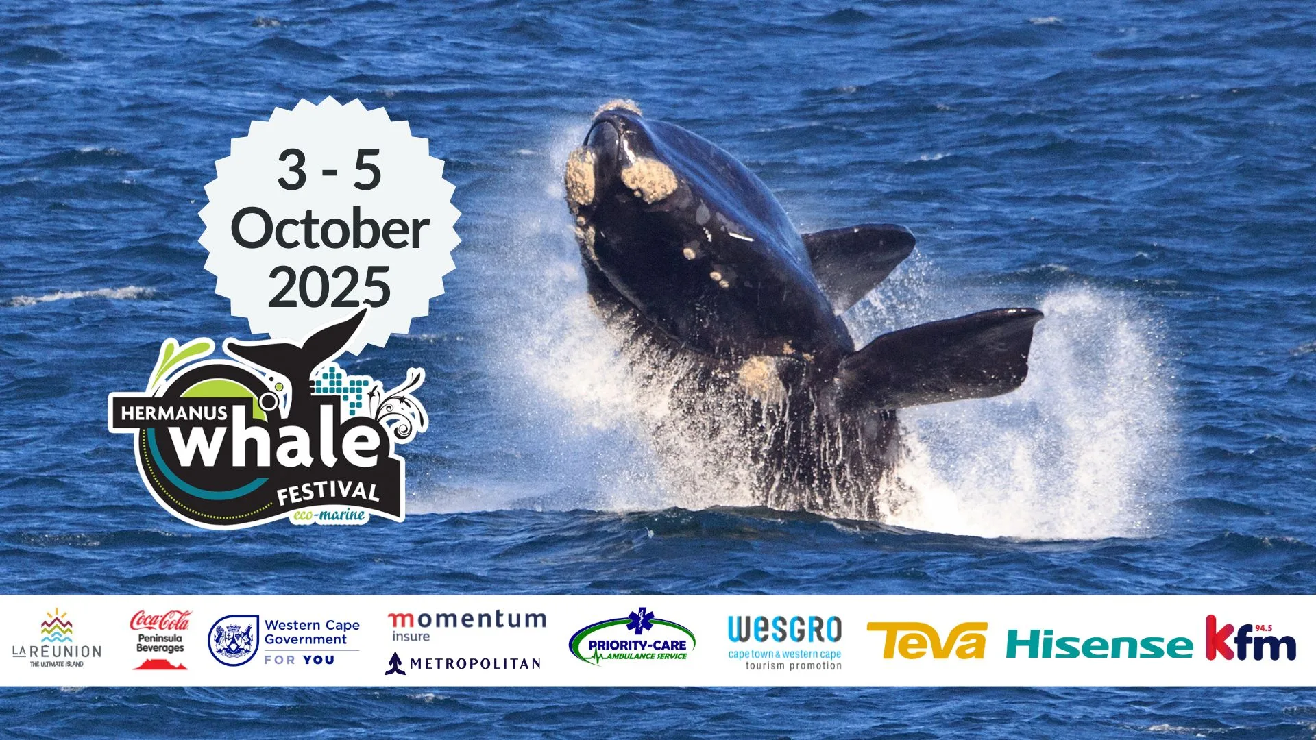 Réunion Island to Lead Eco-Marine Focus at Hermanus Whale Festival